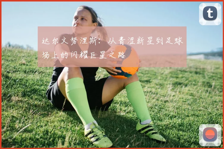 达尔文努涅斯：从青涩新星到足球场上的闪耀巨星之路