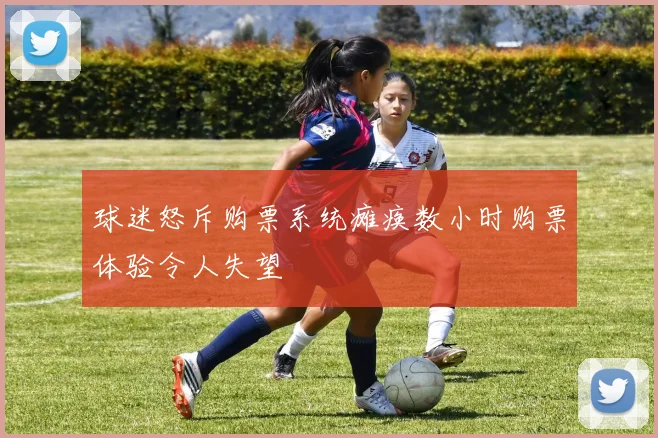 球迷怒斥购票系统瘫痪数小时购票体验令人失望