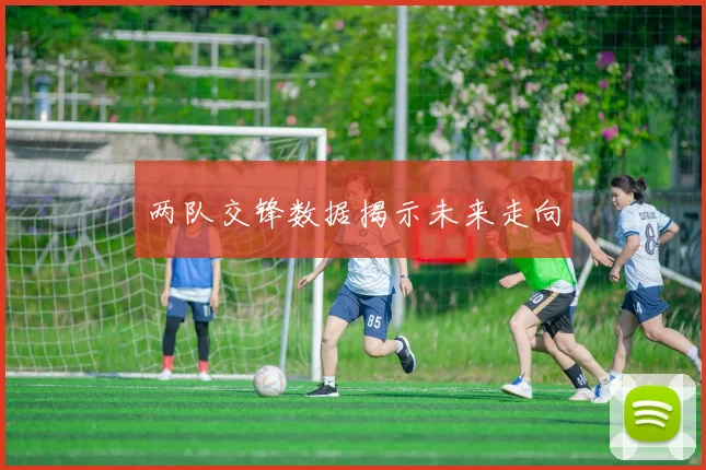 两队交锋数据揭示未来走向