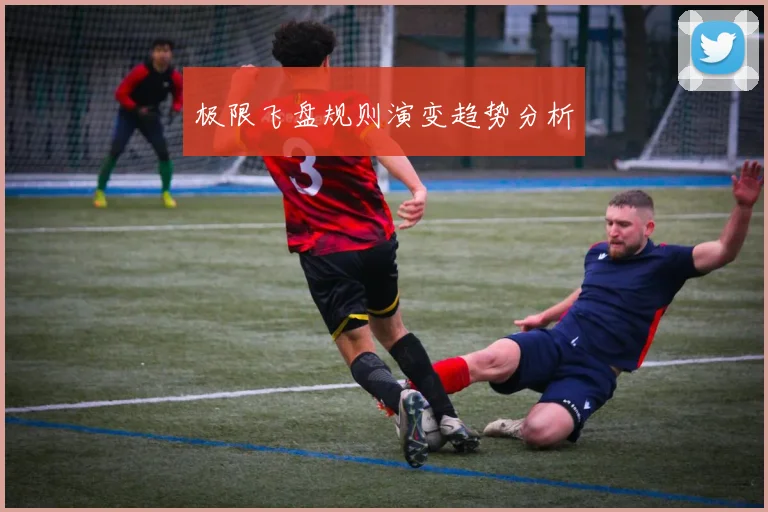 极限飞盘规则演变趋势分析