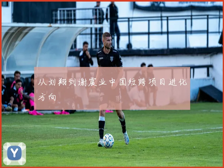 从刘翔到谢震业中国短跨项目进化方向